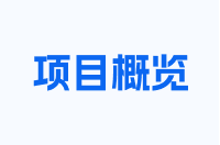 项目概览
